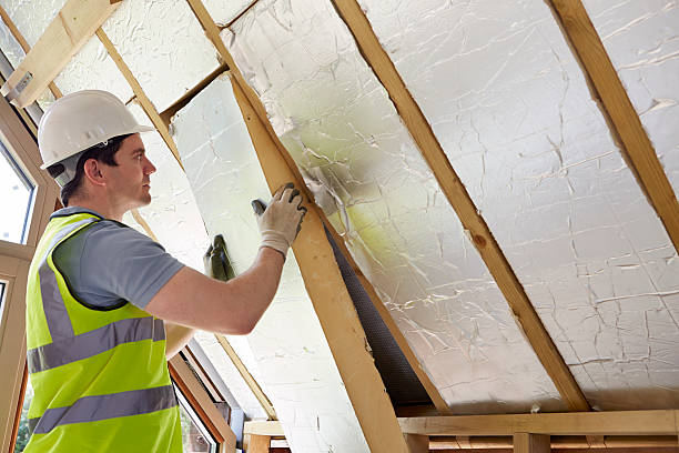 Insulation Contractors for Homes in Asbury, IA