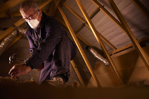 Reliable Asbury, IA Insulation Contractor Solutions